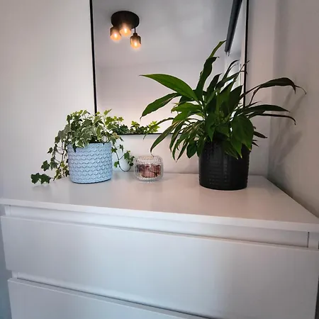 Apartamento Sova Haus 1 Modern Near Katowice & Stadion Slaski *