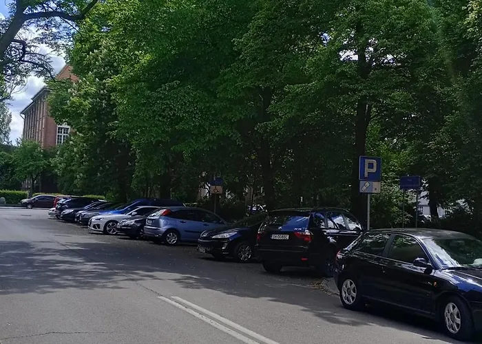 Sova Haus Chorzow, Katowice, Stadion Slaski, 24h Self Check-in, Free Parking, Shops 1 Min Walk, No Elevator-3rd Floor Appartement *