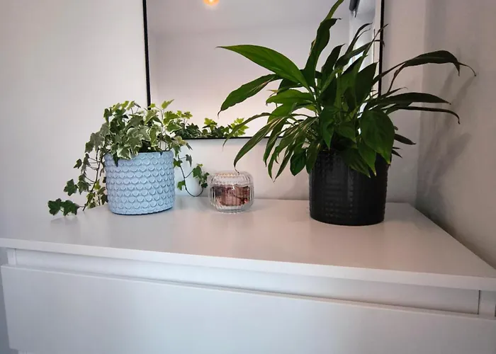 Appartamento Sova Haus Chorzow, Katowice, Stadion Slaski, 24h Self Check-in, Free Parking, Shops 5 Min Walk, No Elevator-3rd Floor *